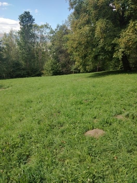 Vând teren intravilan Teșila, Valea Doftanei