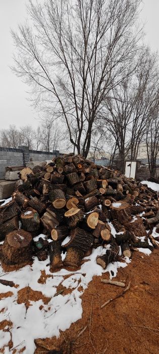 Студенттердің шынайы суреттері