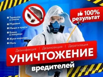 Дезинфекция  Дизенфекция Дизинфекция Акция 4000тг От Насекомых Блохи