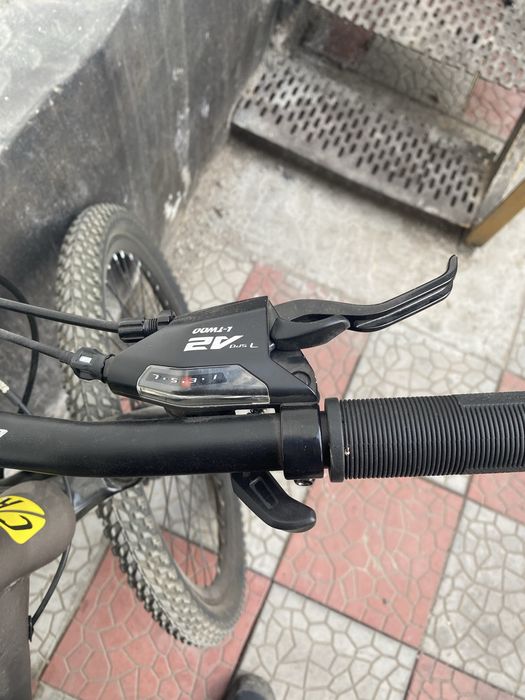 Cruzer Wisent MTB