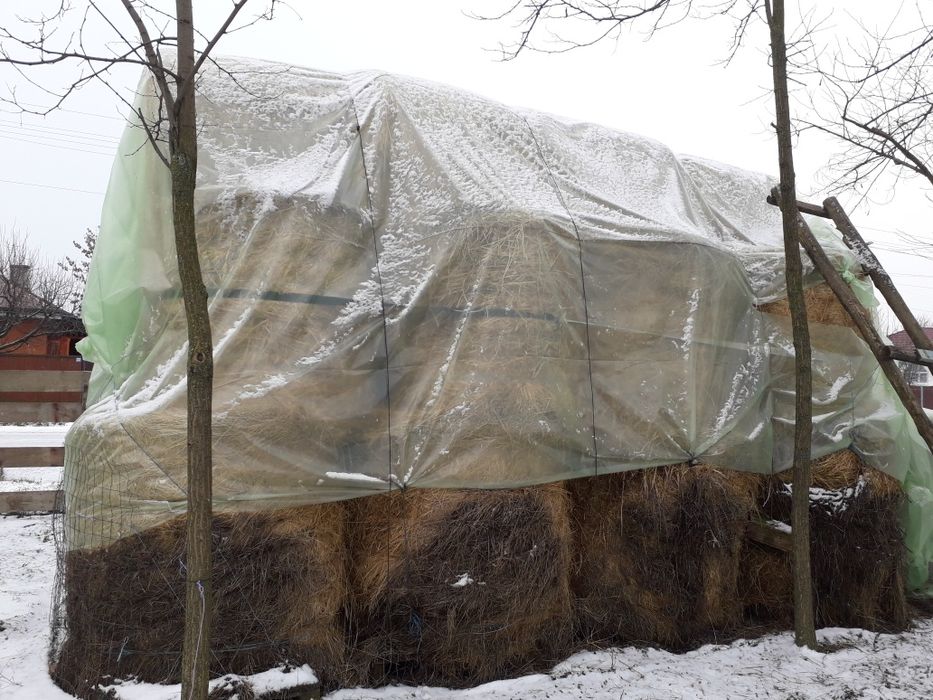 Vand baloti rotunji de fan sau la schimb cu o vitica