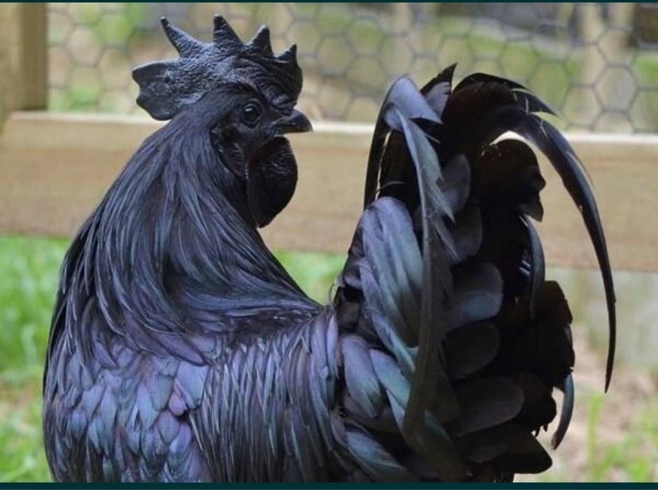 Продам готовый бизнес