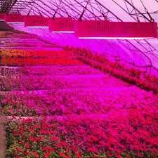 Фитолампа линейная 350Вт