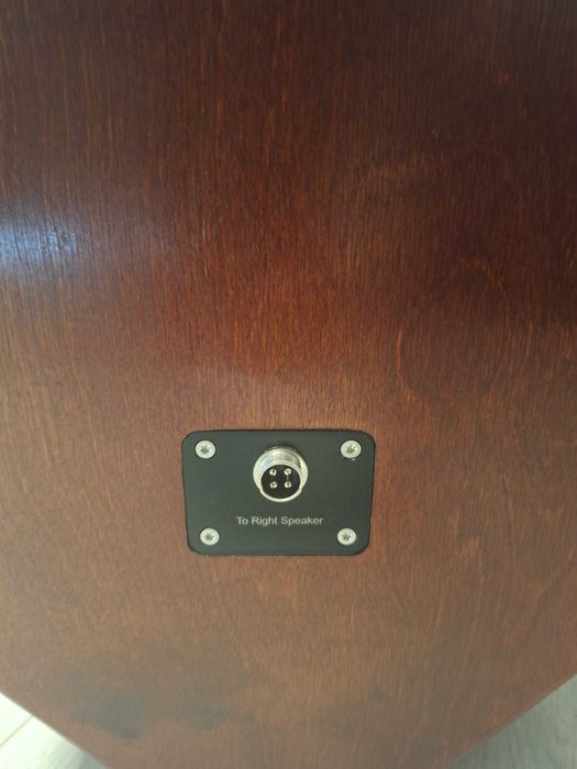 Boxe active Prute Audio – handmade, sunet premium