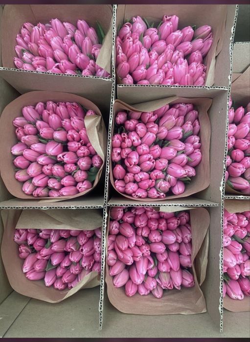 Тюльпаны на 8 марта