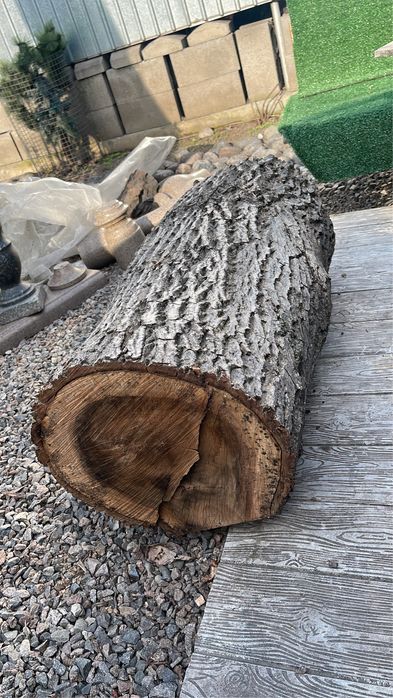 Орех, дрова плодовые и строительные