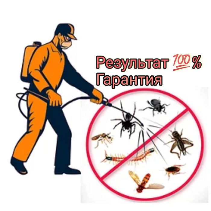 Дезинфекция от насекомых