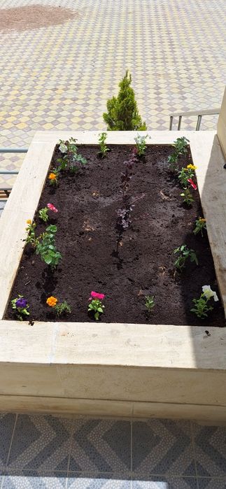 Садовник-озеленитель