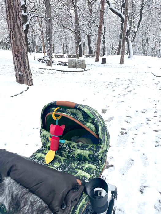 Кош за новородено Cybex S FE VALUES FOR LIFE Respect green