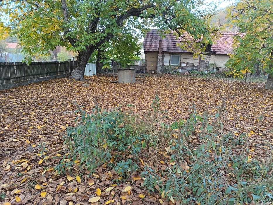 Teren intravilan/loc de casă 7.800 mp-Conop, jud. Arad