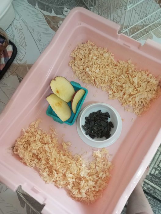 Продам клетку с хомяком