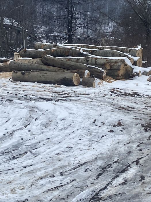 Lemne de foc  de vanzare