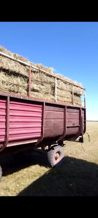Продам сено тюки 18-22 кг