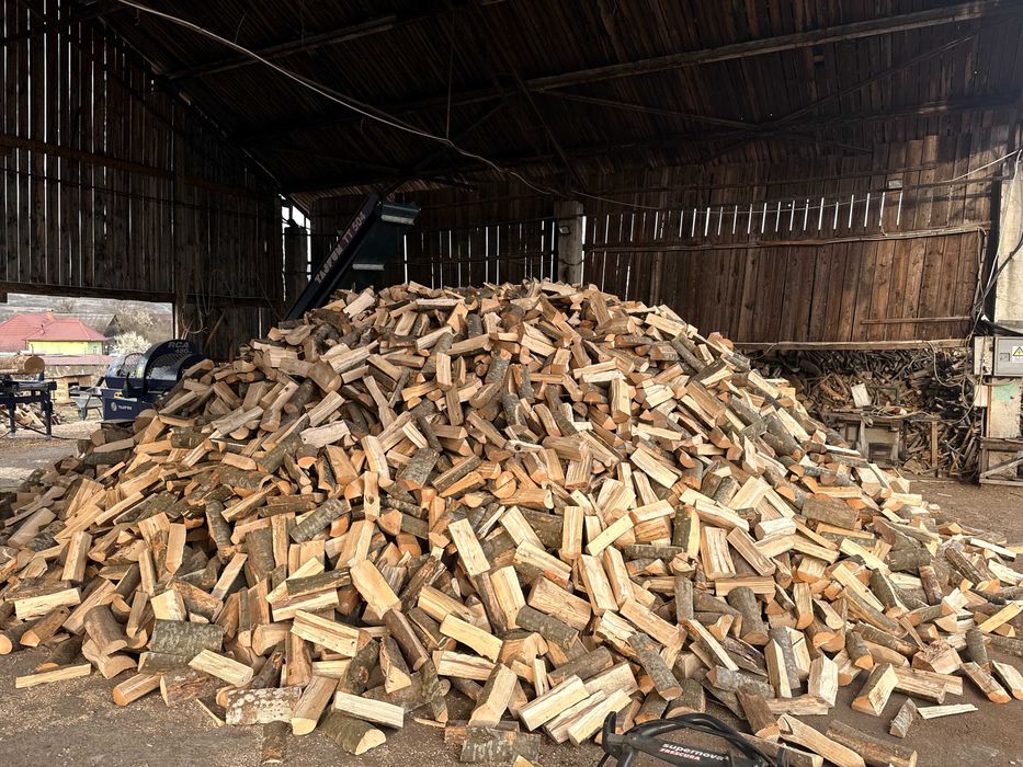 Lemn de foc esență tare - Producător local, livrare în Reghin