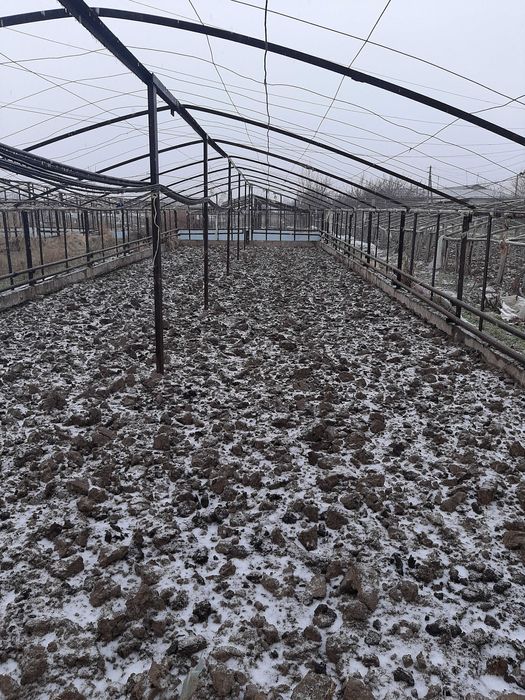 Noturar bino issiqxona inshoatlari sotiladi