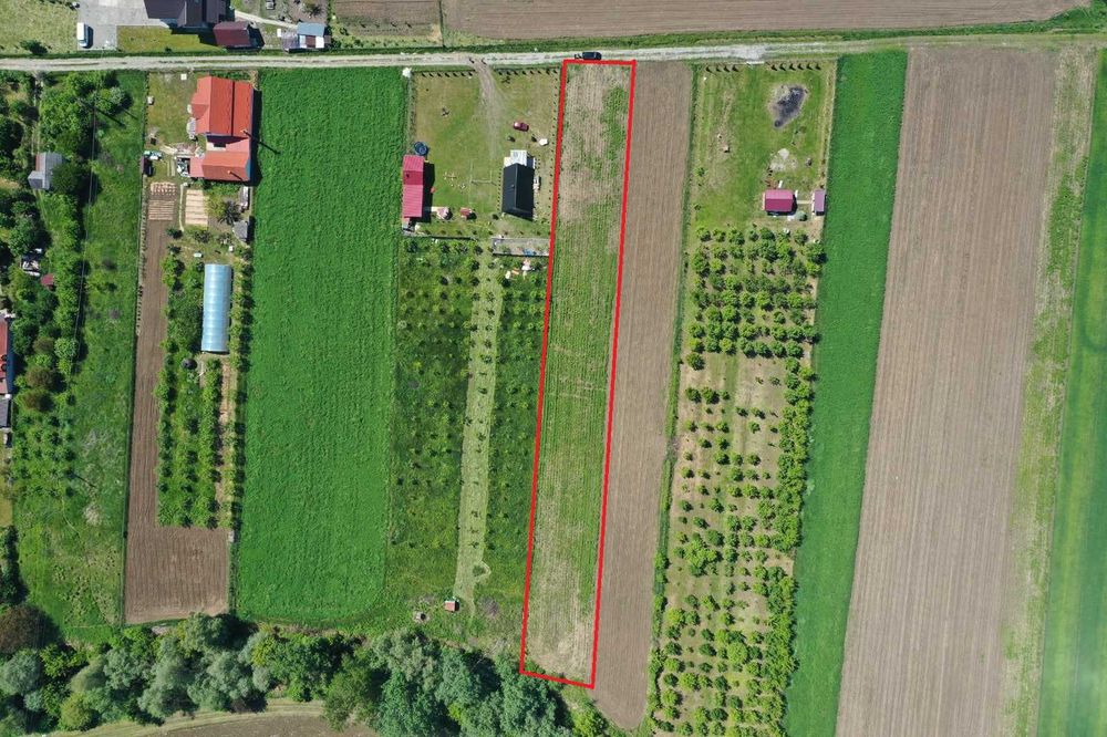 Teren extravilan Manastirea ideal pentru investitie, cabane sau casa