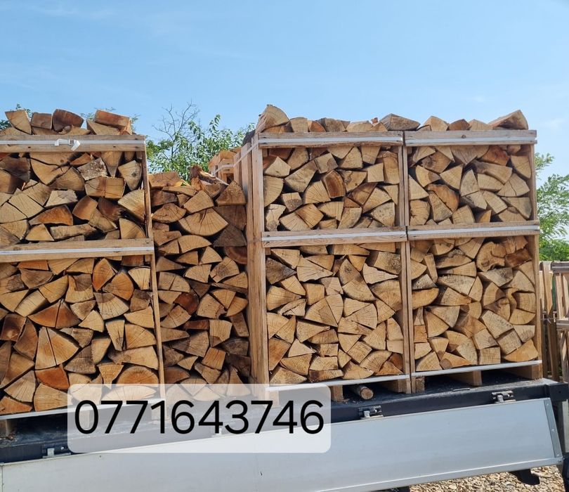 Lemne de foc fag si stejar la palet