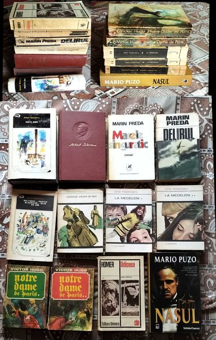 Lot 21 Cărți: Istorie, Literatură & Știință + CADOU Radio-Ceas Grundig