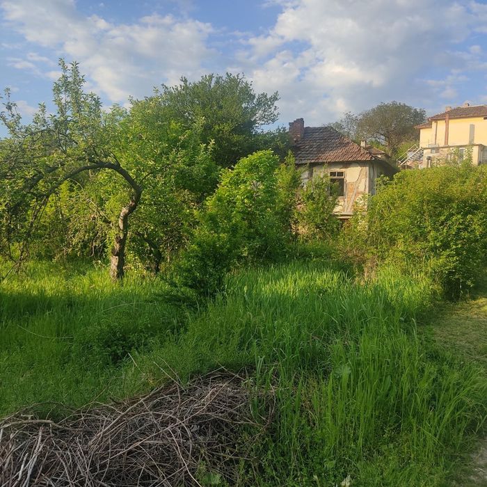 Парцел в с. Синаговци - 595 кв.м.