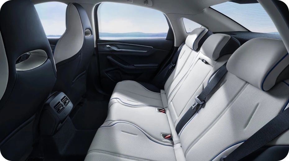 Byd chazor Luxe 55-km