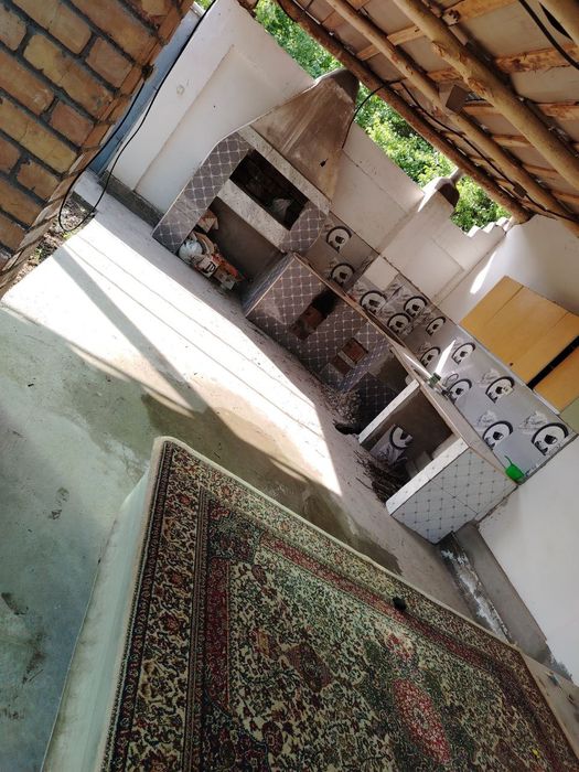 Xavosi toza turli xil daraxtlari bor