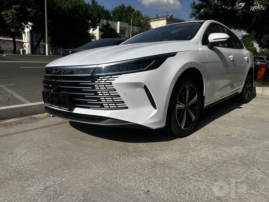 BYD chazor 120km