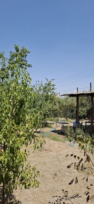 Hovli yer xisobida sotiladi Manzil M.Ulug'bek tumani chingildi