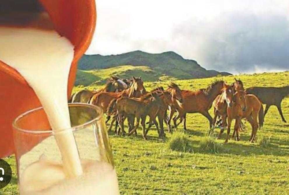 Саумал. Кобылье молоко