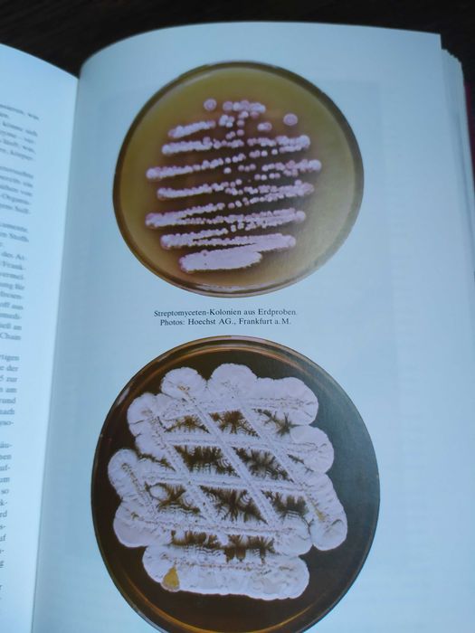 Enciclopedie mari savanti Albert Einstein si Auguste Piccard