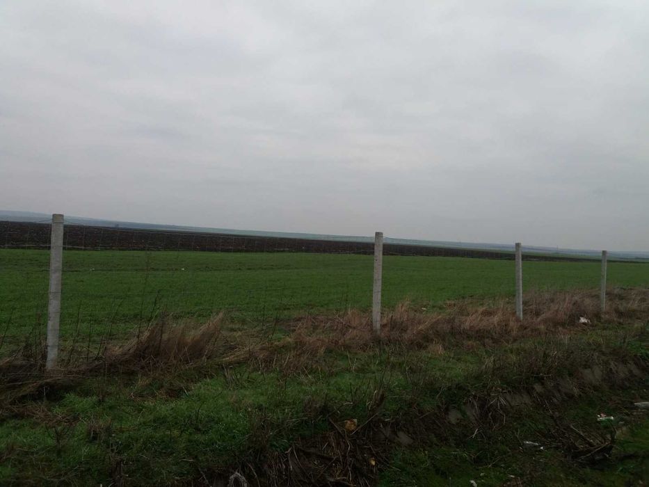 Продава се Парцел в Чирпан - 15950 кв.м за 8 €/кв.м - Снимка #2