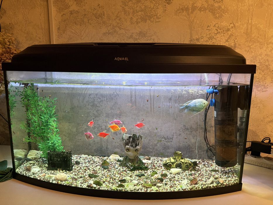 Продам аквариум