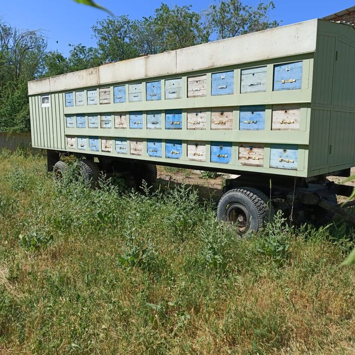 Продам пчелоприцепы