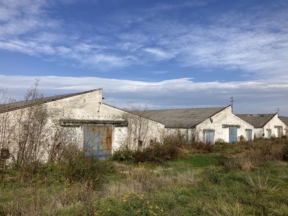Vand ferma 3 hale saivane la nodul autostrazi A1 Dobra 7800m2