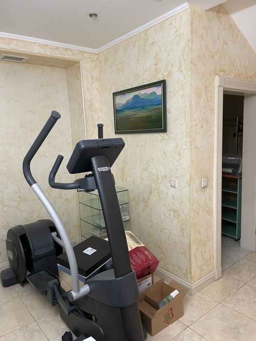 Тренажер , Эллипсоид, Техноджим