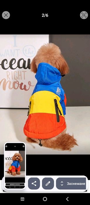 Зимно яке за куче