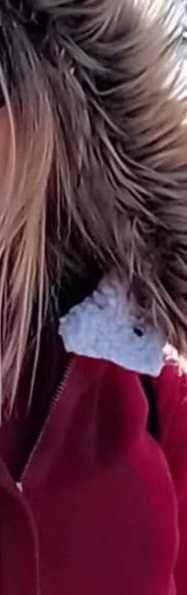 Дамско  късо  палто.