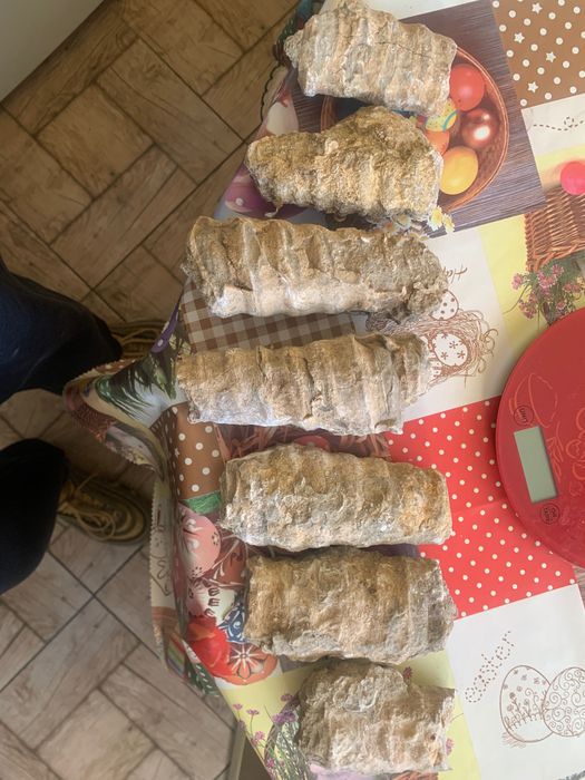 Древни редки фосили