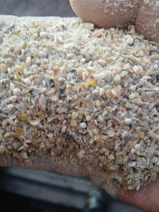 Комбикорм рыболовный