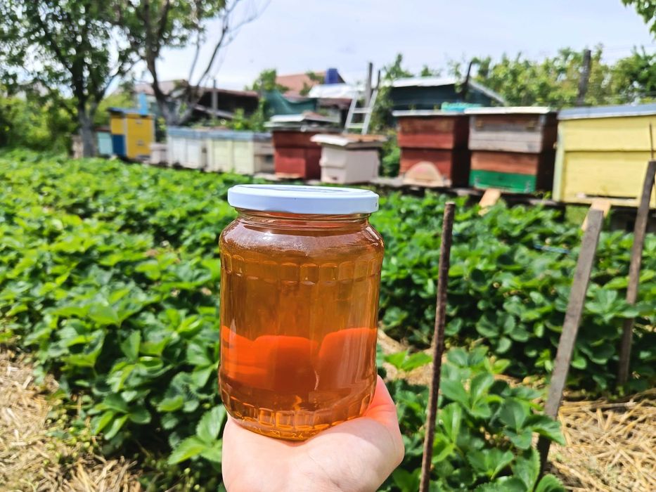 Miere naturala din productie proprie