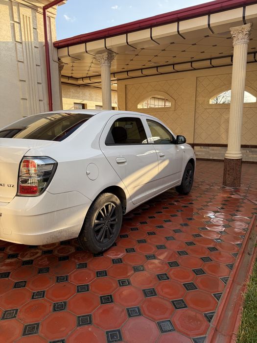 Cobalt 2025/2026 Midnight