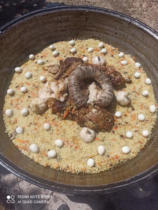 Палау дайиндаймын