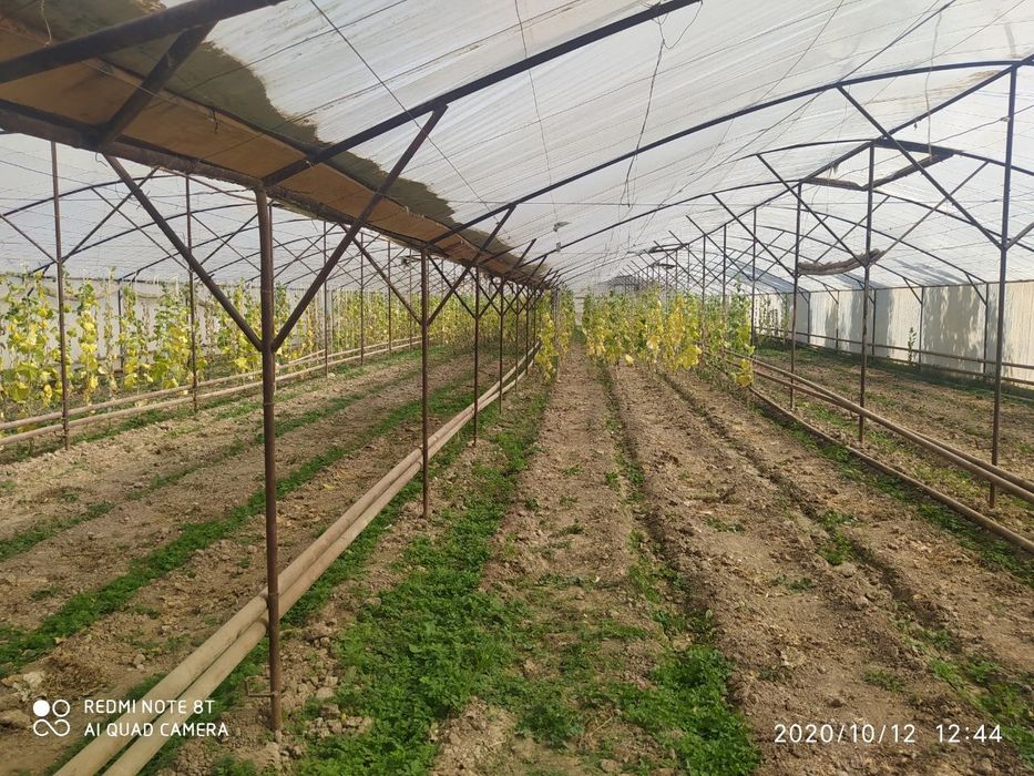 Yer sotiladi srochna