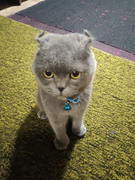 Odamlar kochada yechinib suratga tushishmoqda