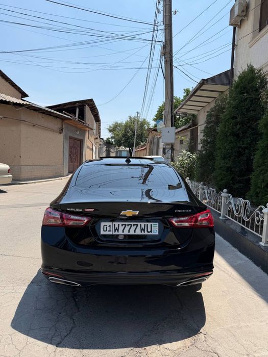 2022 malibu 2 primer tayor hamma narsasi