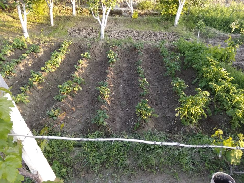 Продаётся дачный земельный участок