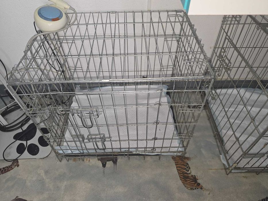 Custi/CuscaPlianta Pliabila  Pentru Caini Pisici Animale De Companie Pentru Cabinet Veterinar Sau Transport