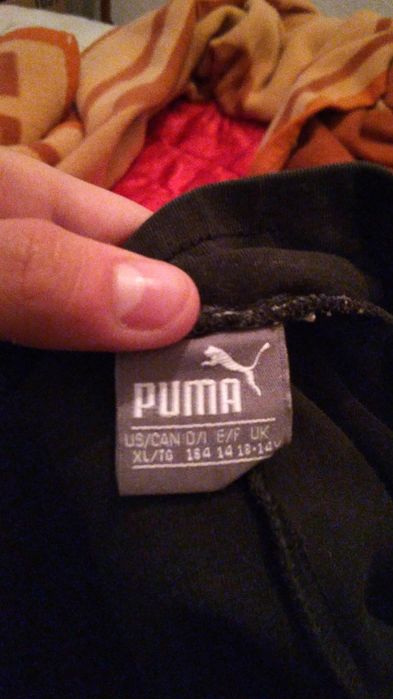 Дълъг клин на puma