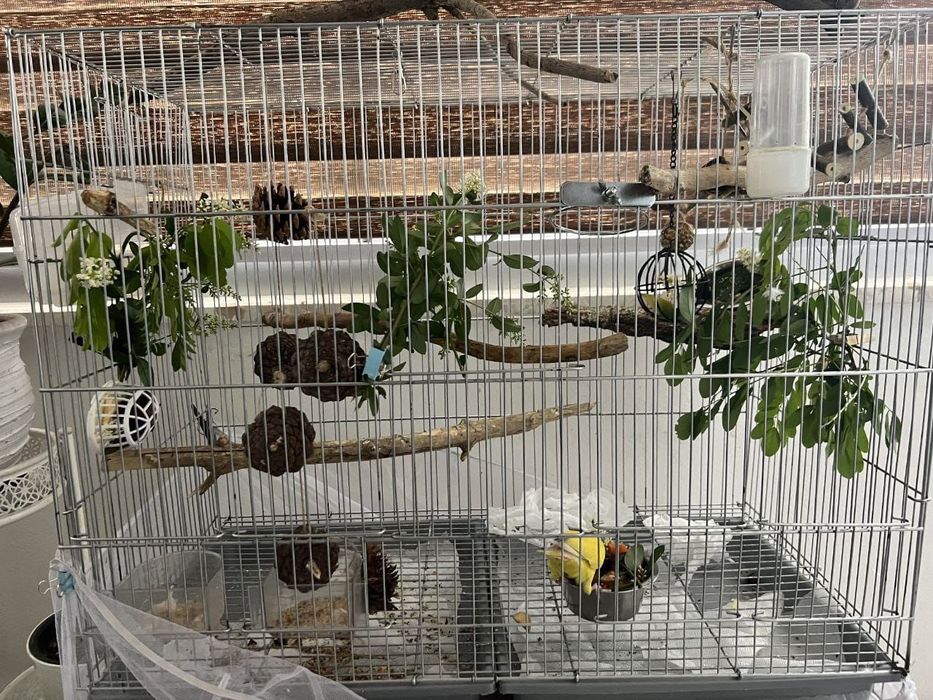 Клетка для попугаев