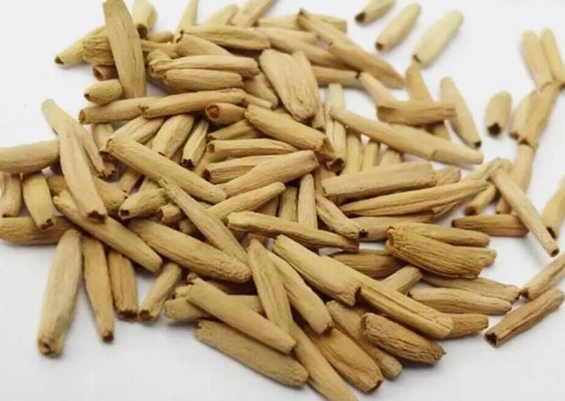 Adenium Trandafirul Desertului