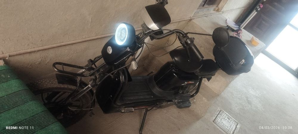 Sukuter xolate yaxshi